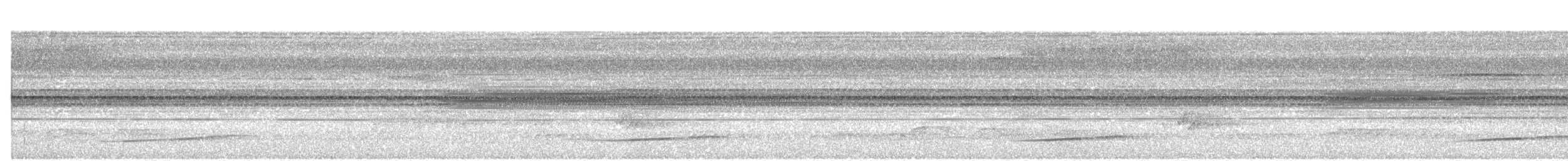 Rufous-tailed Shama - ML230162371