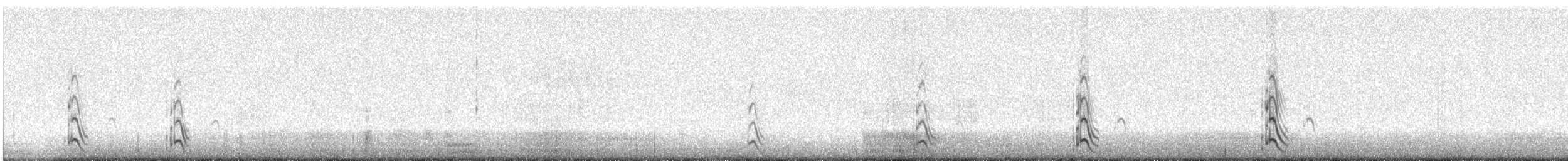 Uzun Kuyruklu Korsanmartı - ML230173