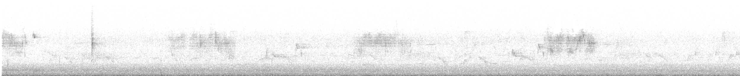 Острохвостая овсянка-барсучок - ML230201411