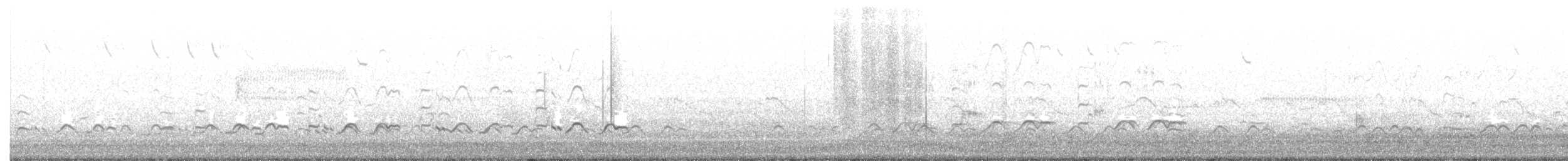 ハジロオオシギ（semipalmata） - ML230246641