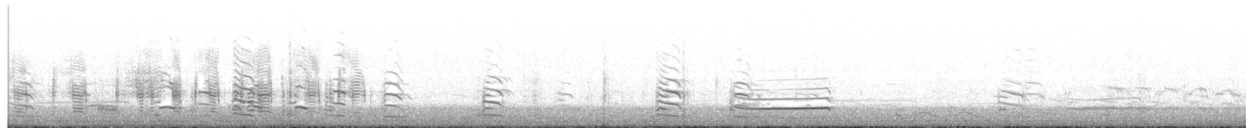 racek stříbřitý (ssp. smithsonianus) - ML230247481