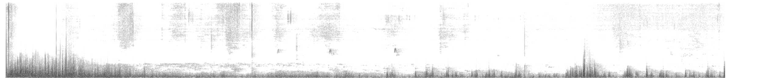 kulík patagonský - ML230290241