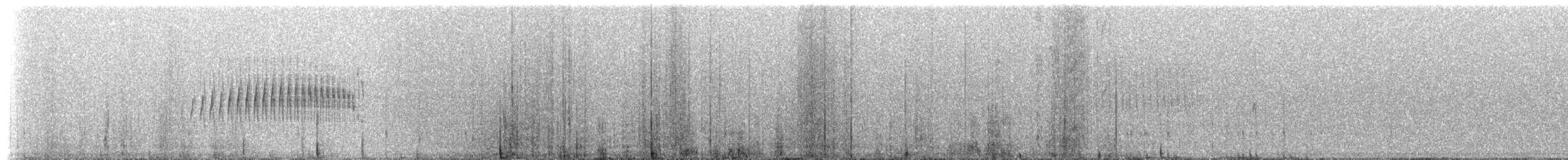 Streak-backed Canastero (Streak-backed) - ML230312