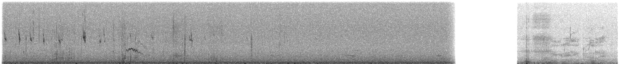 Magellanic Plover - ML230327