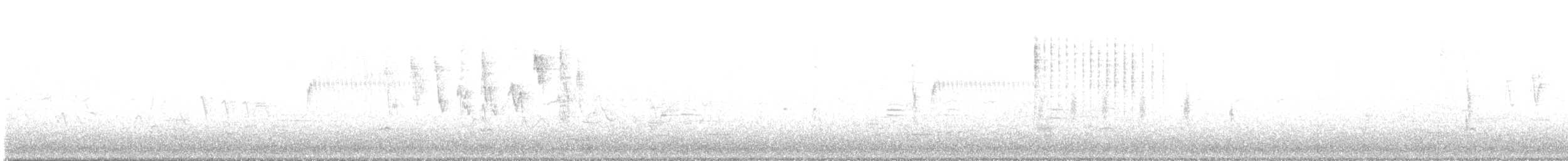 סבכון שחור-כיפה - ML230340791
