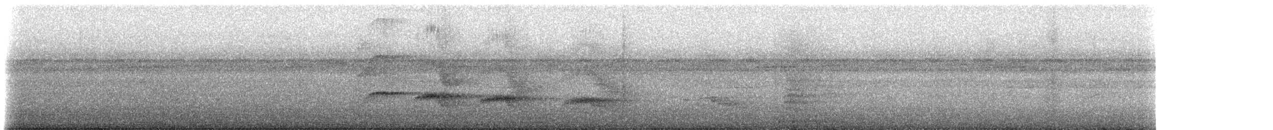 Rotspiegel-Ameisenvogel - ML230355