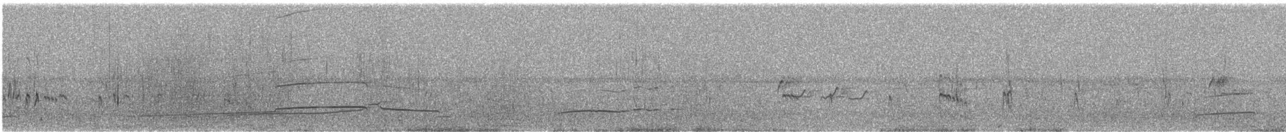 Whimbrel (Hudsonian) - ML230366651