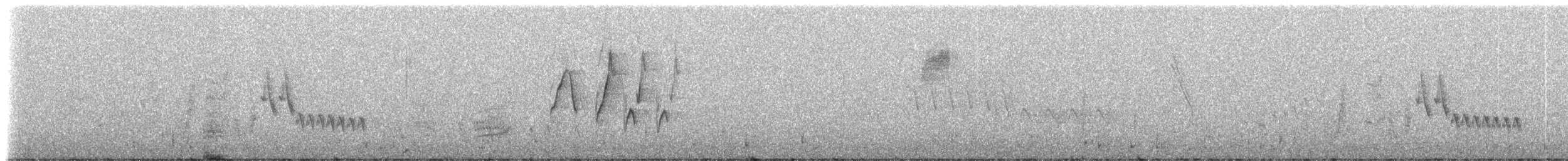 Ak Kanatlı Çalı Serçesi (paynteri) - ML230409