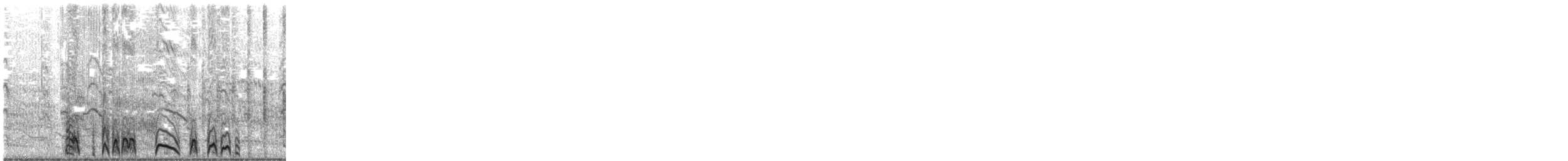 Leach's Storm-Petrel - ML230412221