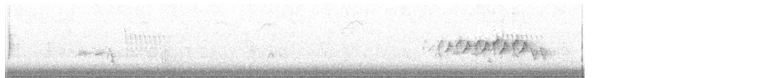 Paruline à croupion jaune (coronata x auduboni) - ML230413461