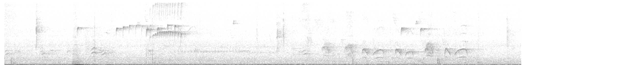 Black-necked Stilt (White-backed) - ML230469591