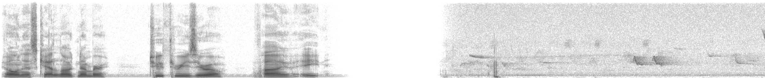 Northern/Mangrove Yellow Warbler - ML23058