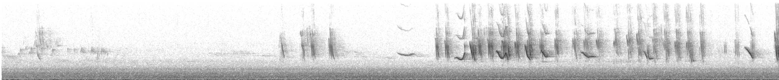 Tree Swallow - ML230581781