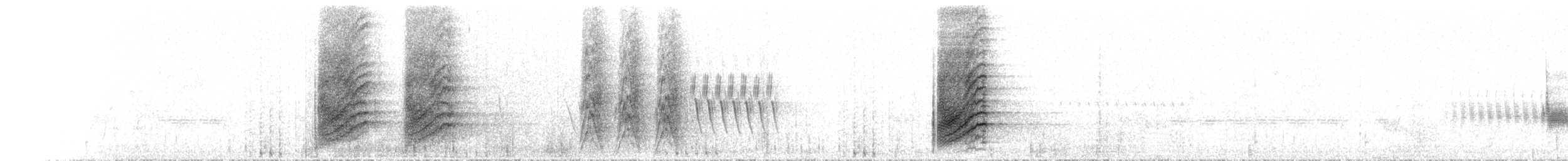 einerskrike (woodhouseii gr.) - ML230616471