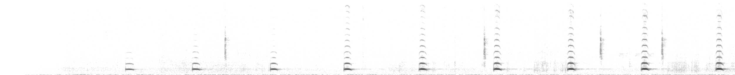 kulíšek mexický (ssp. pinicola) - ML230616771