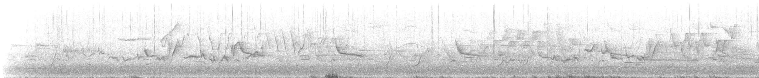 Warbling Vireo - ML230625171