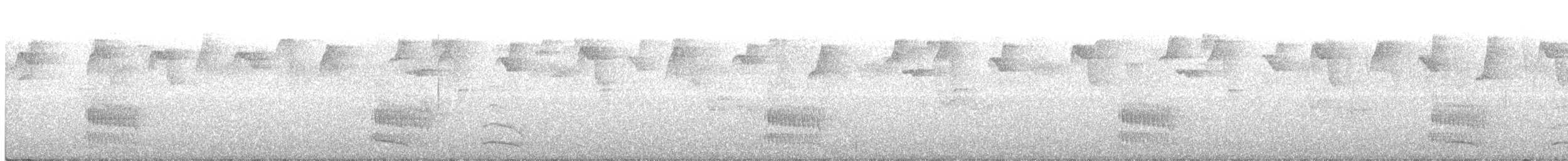 Halkalı Trogon (aurantiiventris/underwoodi) - ML230627321