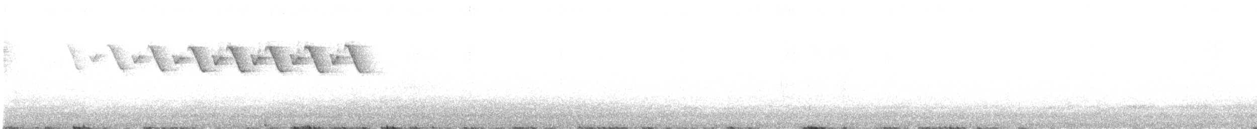 lesňáček černobílý - ML230629791
