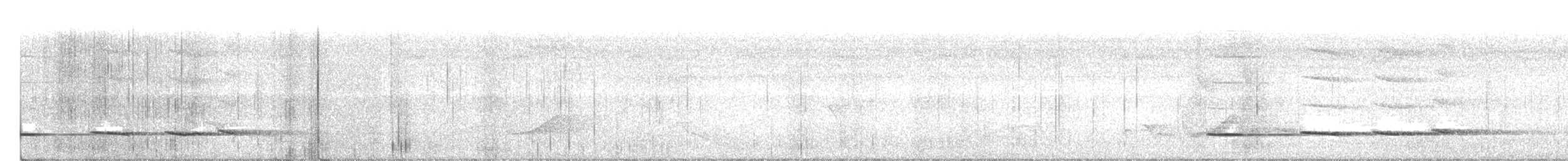 Pheasant Cuckoo - ML230634051