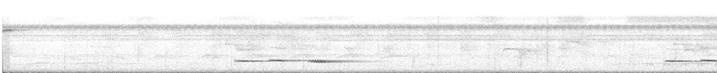 Pheasant Cuckoo - ML230635751