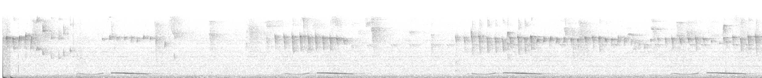 holub panamský - ML230646811