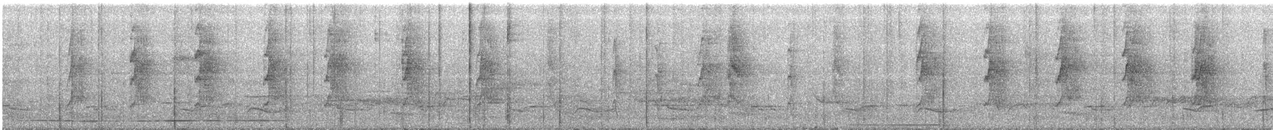Uzun Gagalı Hermit [longirostris grubu] - ML230679041