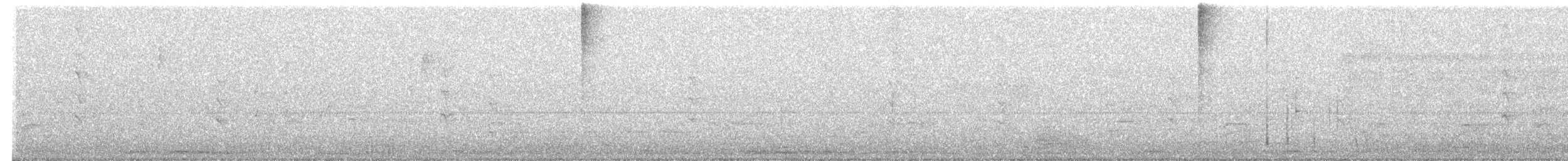 Kara Karınlı Islıkçı Ördek - ML230748001