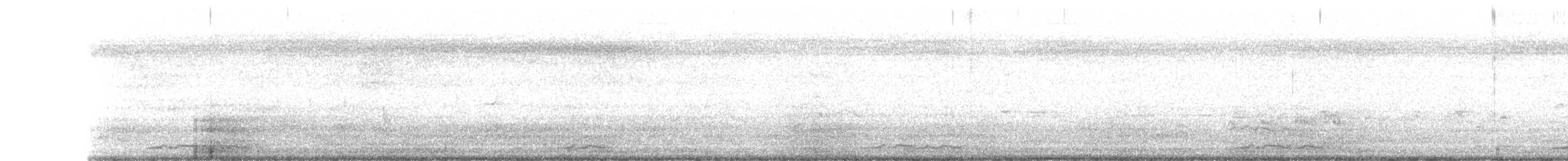 holoubek proužkoprsý - ML230856501