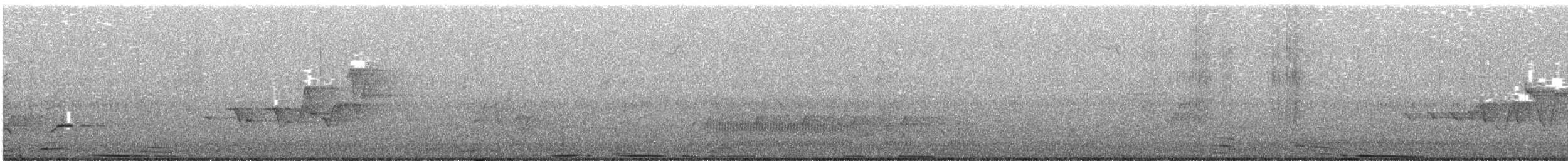 Magnolia Warbler - ML230897321