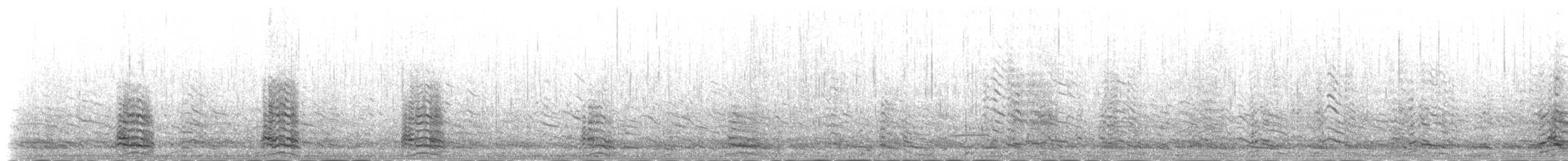 gråmåke (mongolicus) - ML230924