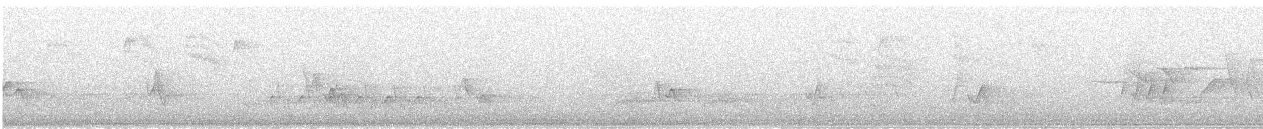 Louisiana Waterthrush - ML230940891