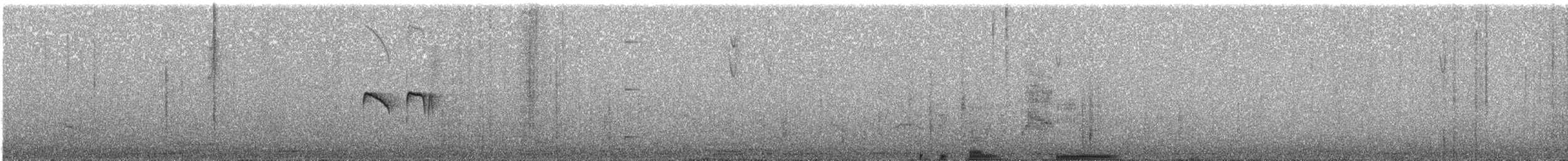 Tumbesschnäppertyrann - ML230949141