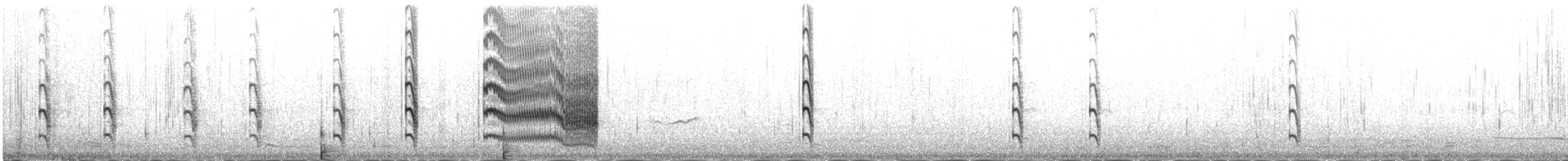 Sterne pierregarin (longipennis) - ML230971