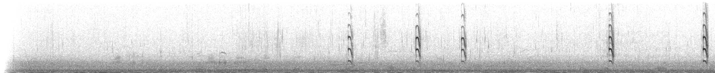 燕鷗(longipennis) - ML230973