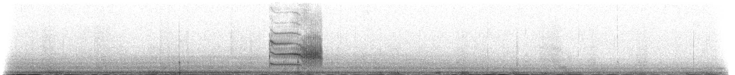 Sterne pierregarin (longipennis) - ML230976