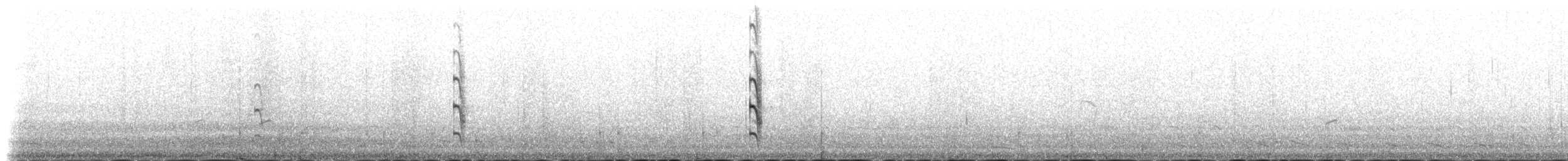 燕鷗(longipennis) - ML230977