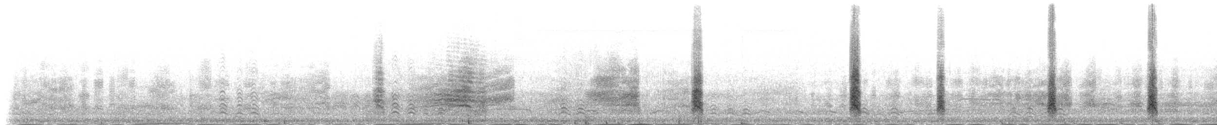 裏海燕鷗 - ML230996