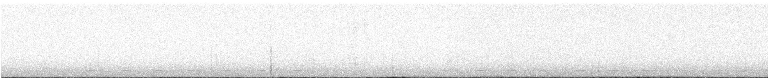 Northern Saw-whet Owl - ML230997331