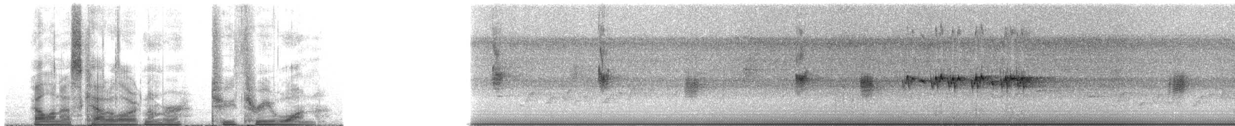 Arctic Warbler - ML231