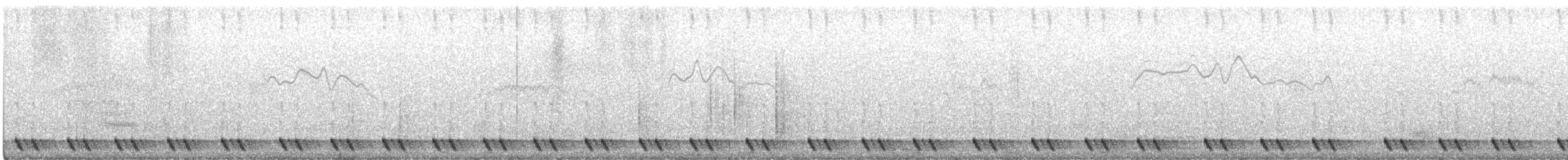 rødhalsnattravn - ML231051241