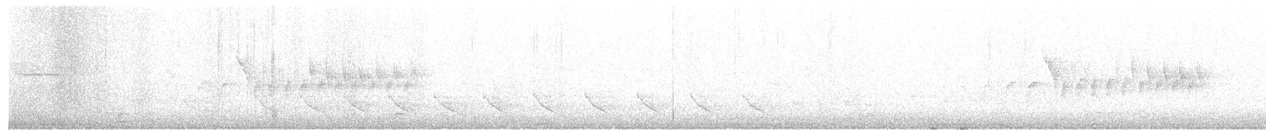 chřástal virginský (ssp. limicola/friedmanni) - ML231090071