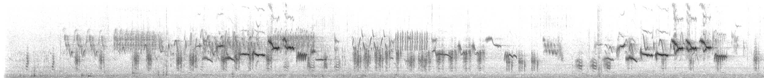sibirspurv - ML231114