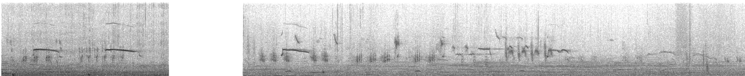 Eastern Marsh Harrier - ML231121