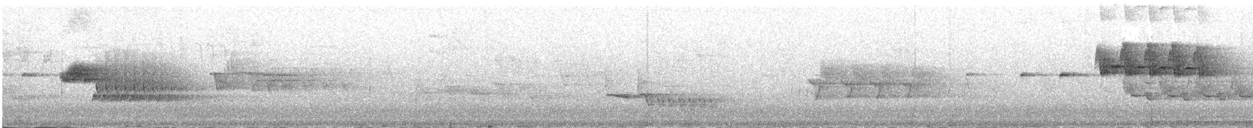 Номин гургалдай - ML231129