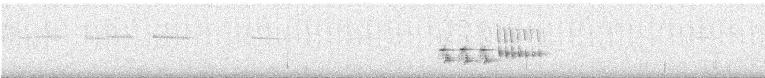 Тауї плямистий - ML231130161