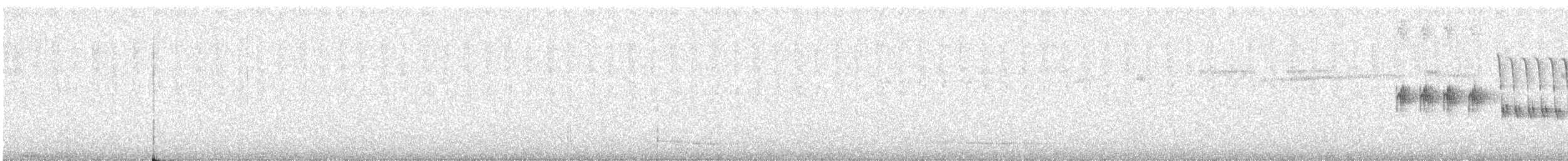 Тауї плямистий - ML231130361