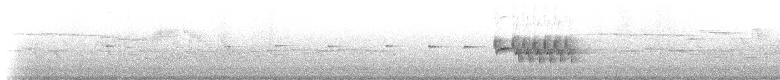 Номин гургалдай - ML231144