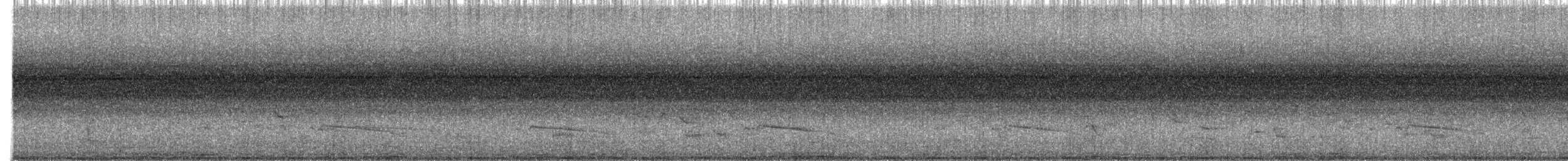 Gray-bellied Cuckoo - ML231152191