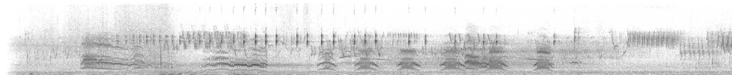 hettemåke - ML231175