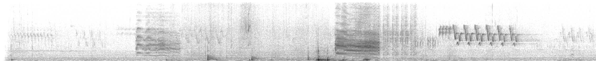 Common Tern (longipennis) - ML231188